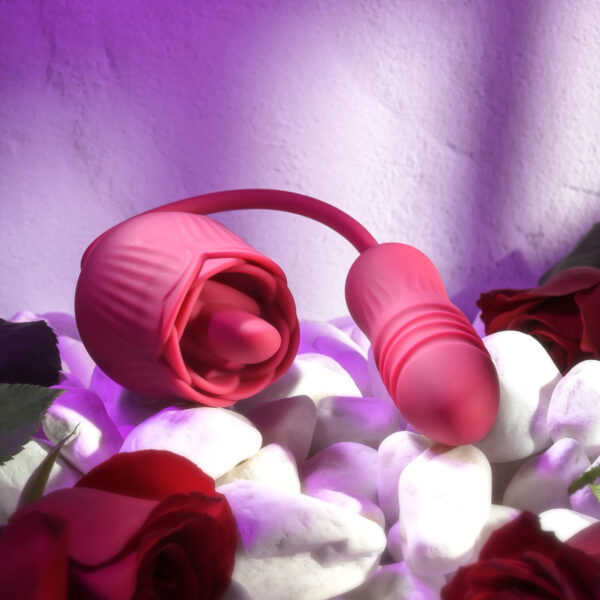 ROSE SAUVAGE 2EN1 - EVOLVED