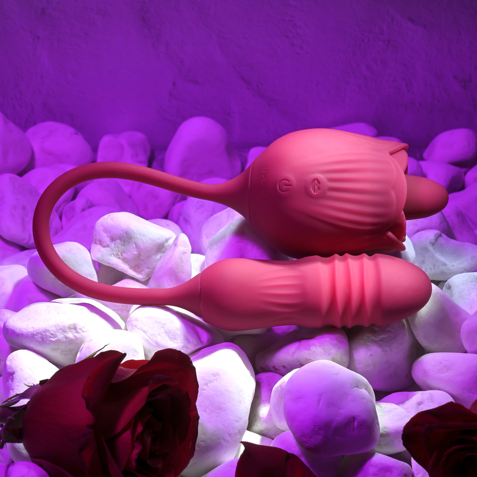 ROSE SAUVAGE 2EN1 - EVOLVED – Image 2
